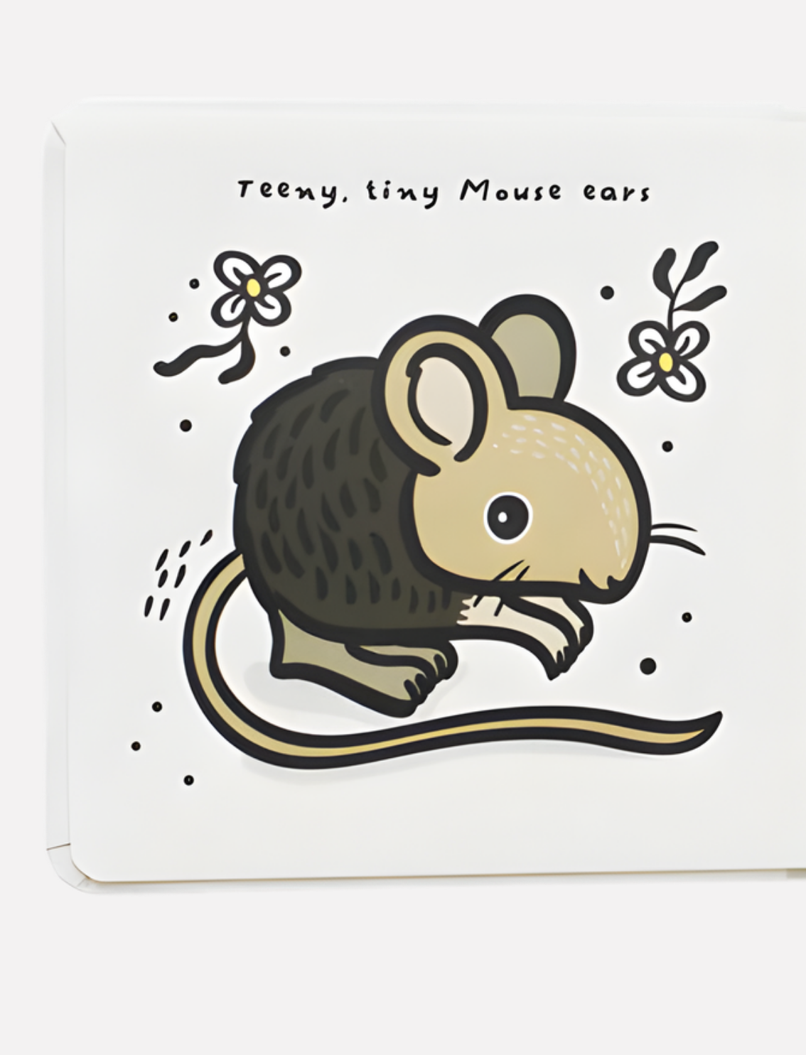 ספר סנסורי Ears