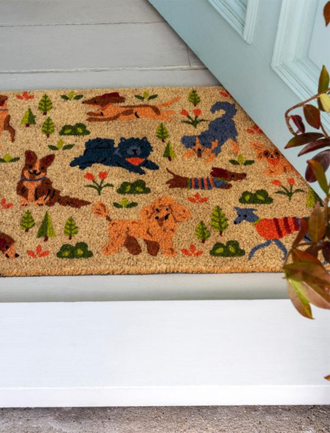 שטיח כניסה Dog Park