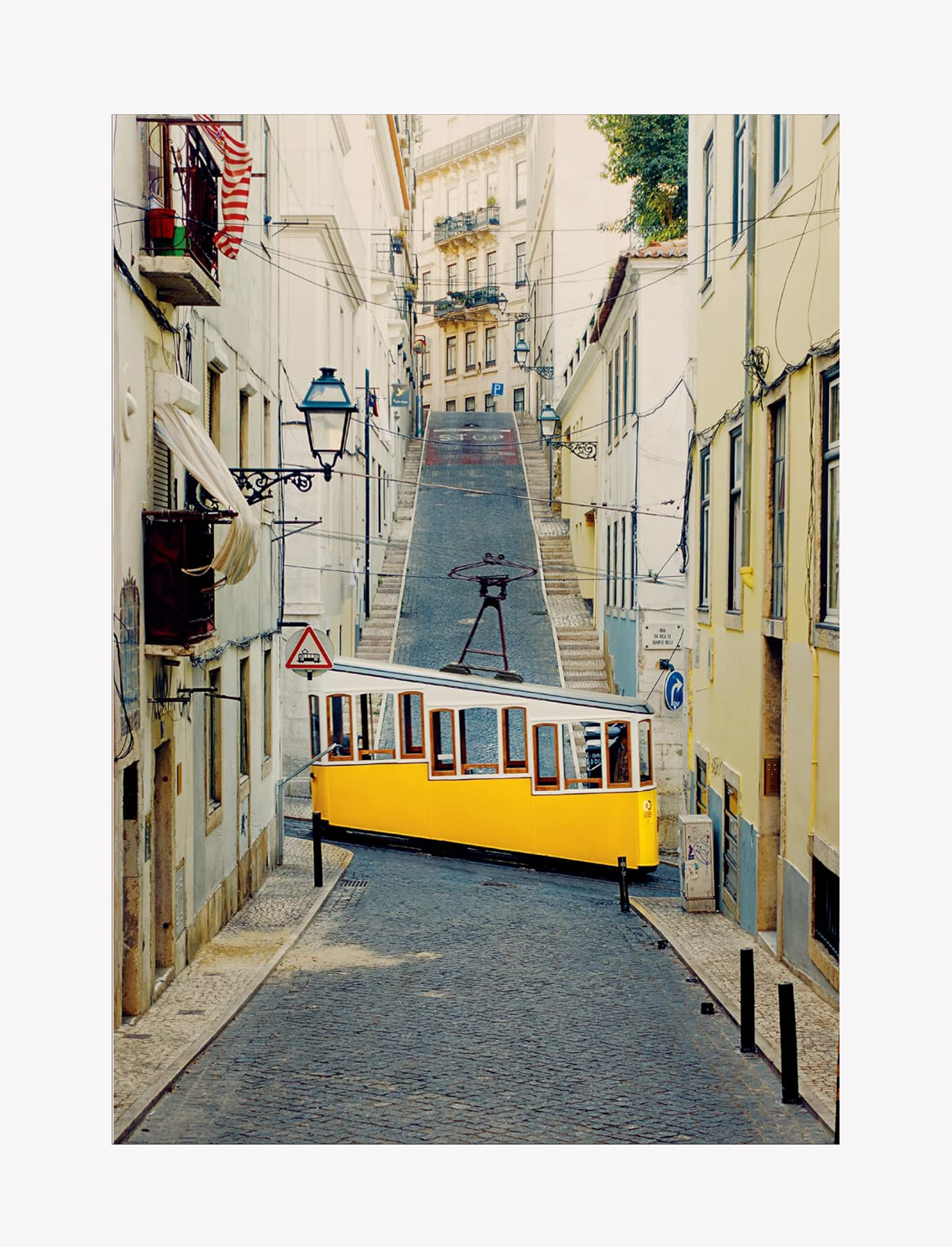 מארז גלויות Wes Anderson