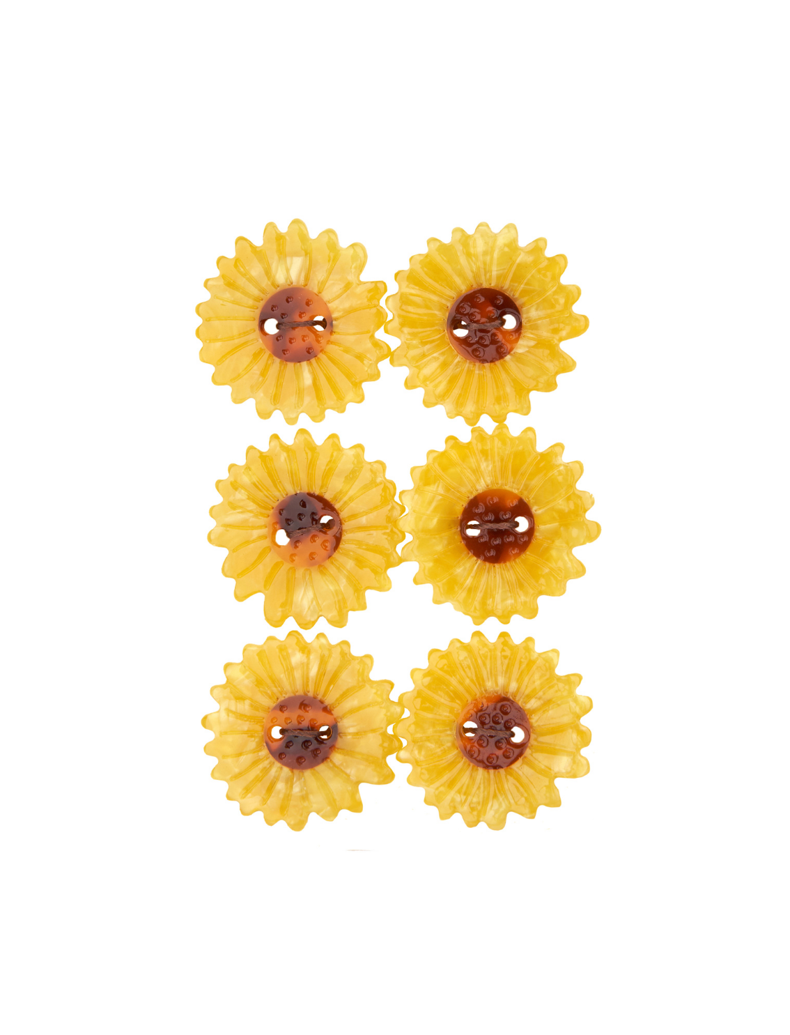 סט 6 כפתורים Sunflower