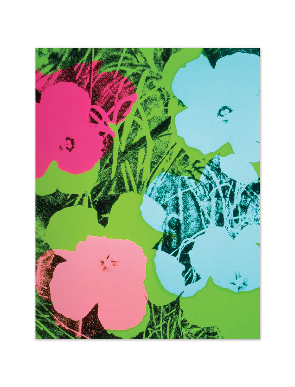 מארז גלויות: Andy Warhol Pop Art