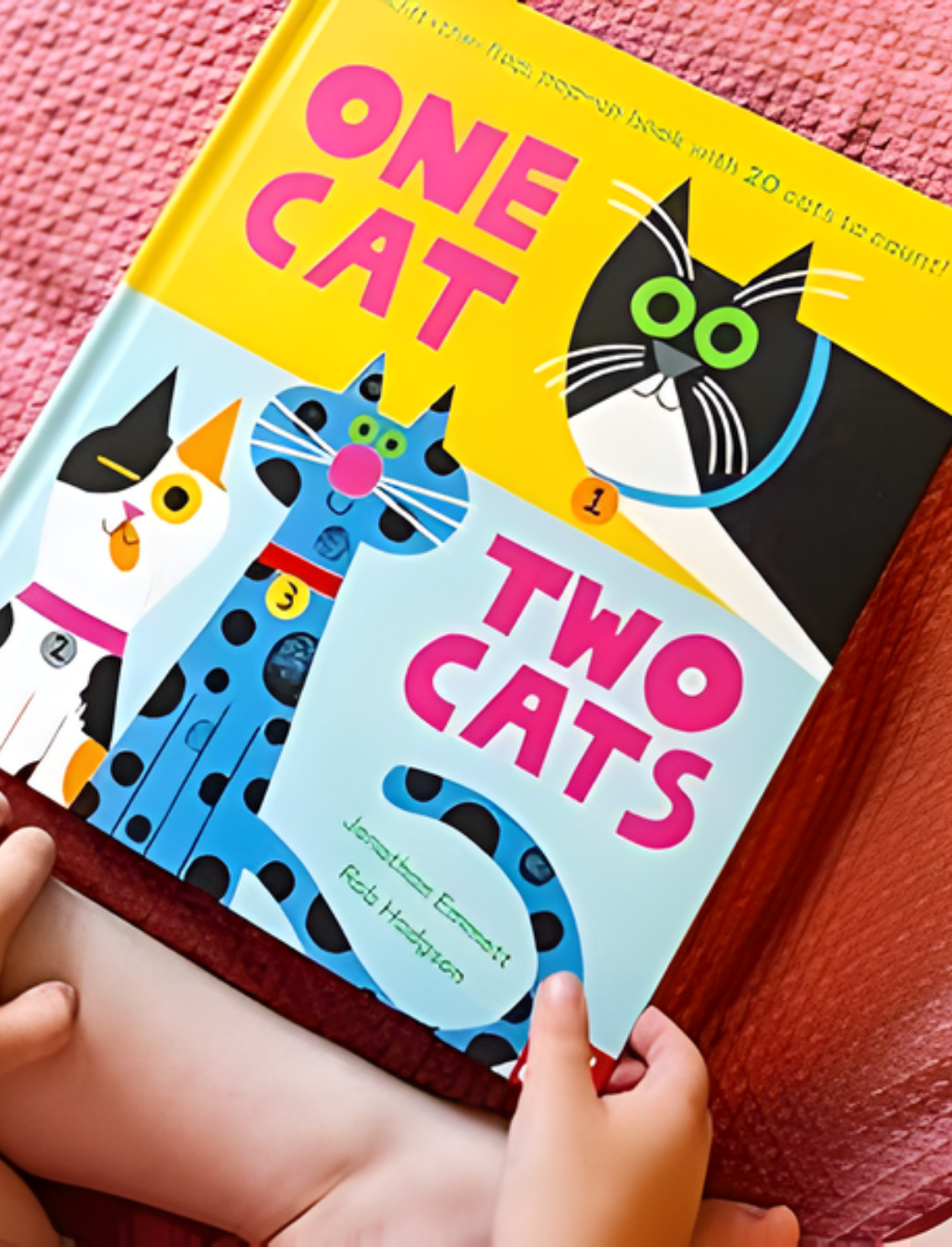 ספר אינטראקטיבי One Cat, Two Cats