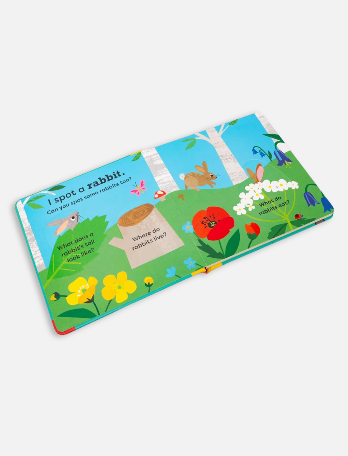 ספר אינטראקטיבי I Spot A Rabbit