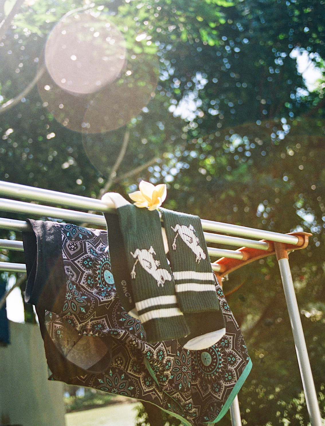 גרבי גברים רטרו Moomin Green