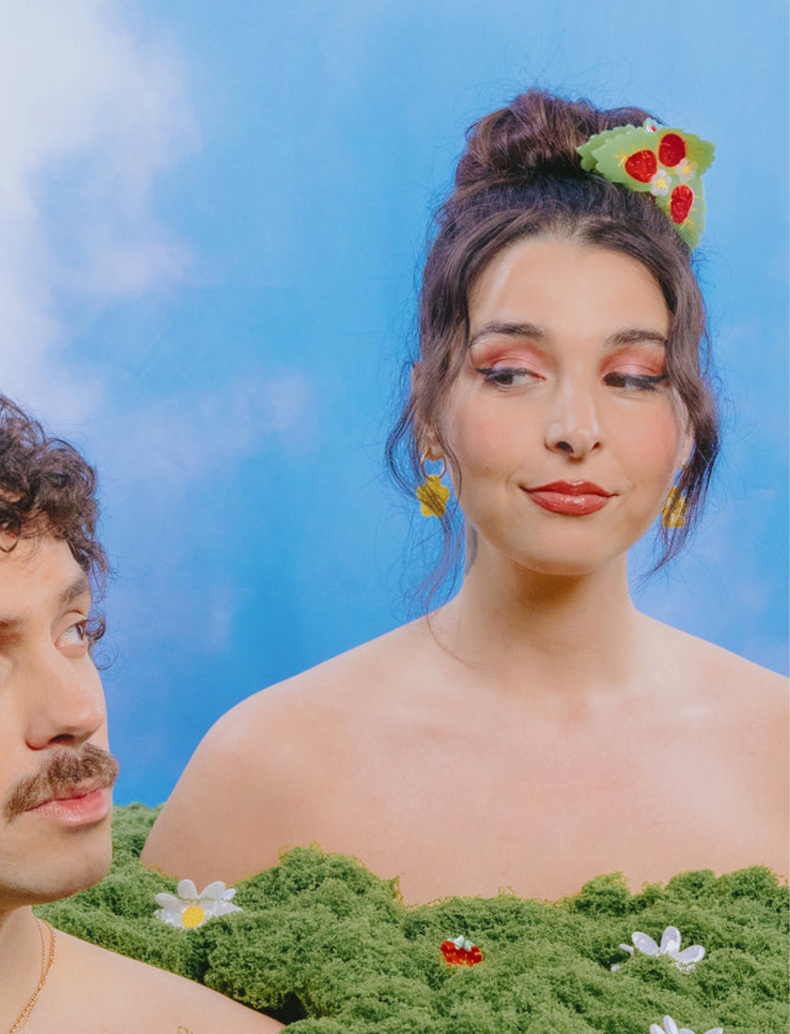 קליפס לשיער Big Strawberry Plant