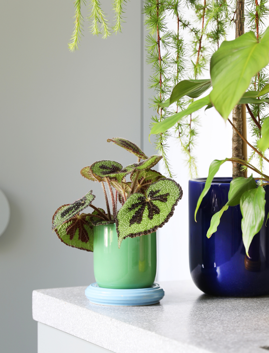 באנדל עציצים עם תחתית Churro