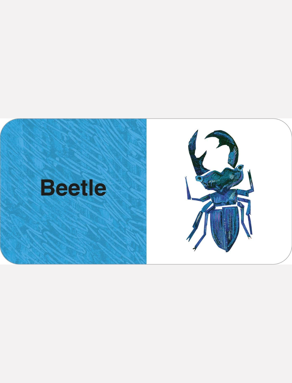 מארז ספרונים Eric Carle: Big Box of Little Books