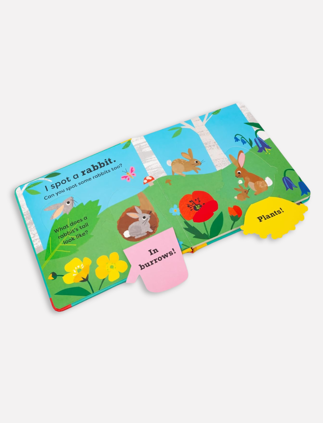 ספר אינטראקטיבי I Spot A Rabbit