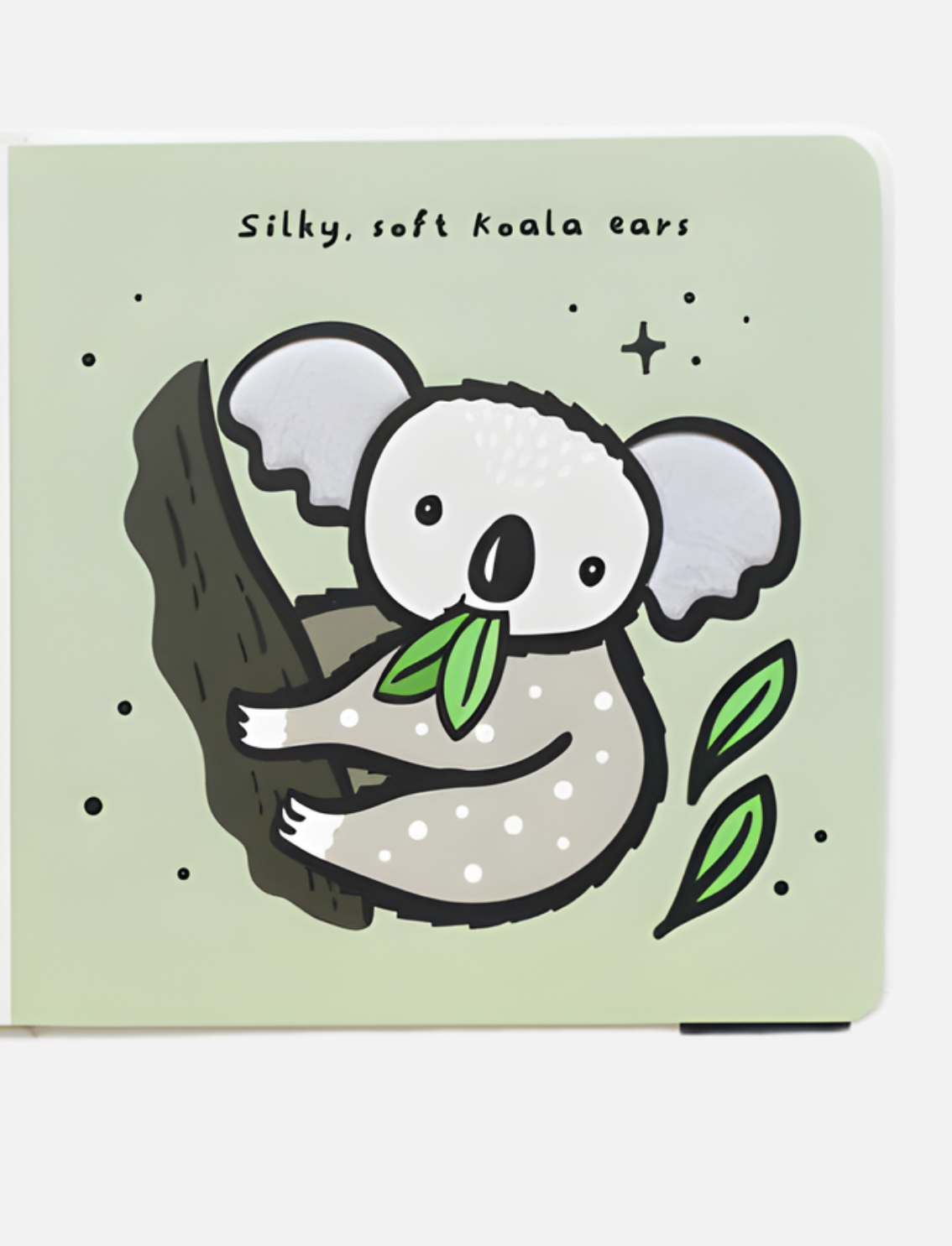 ספר סנסורי Ears