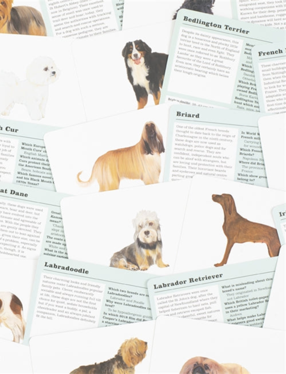 משחק קלפים Do You Know Your Dogs?