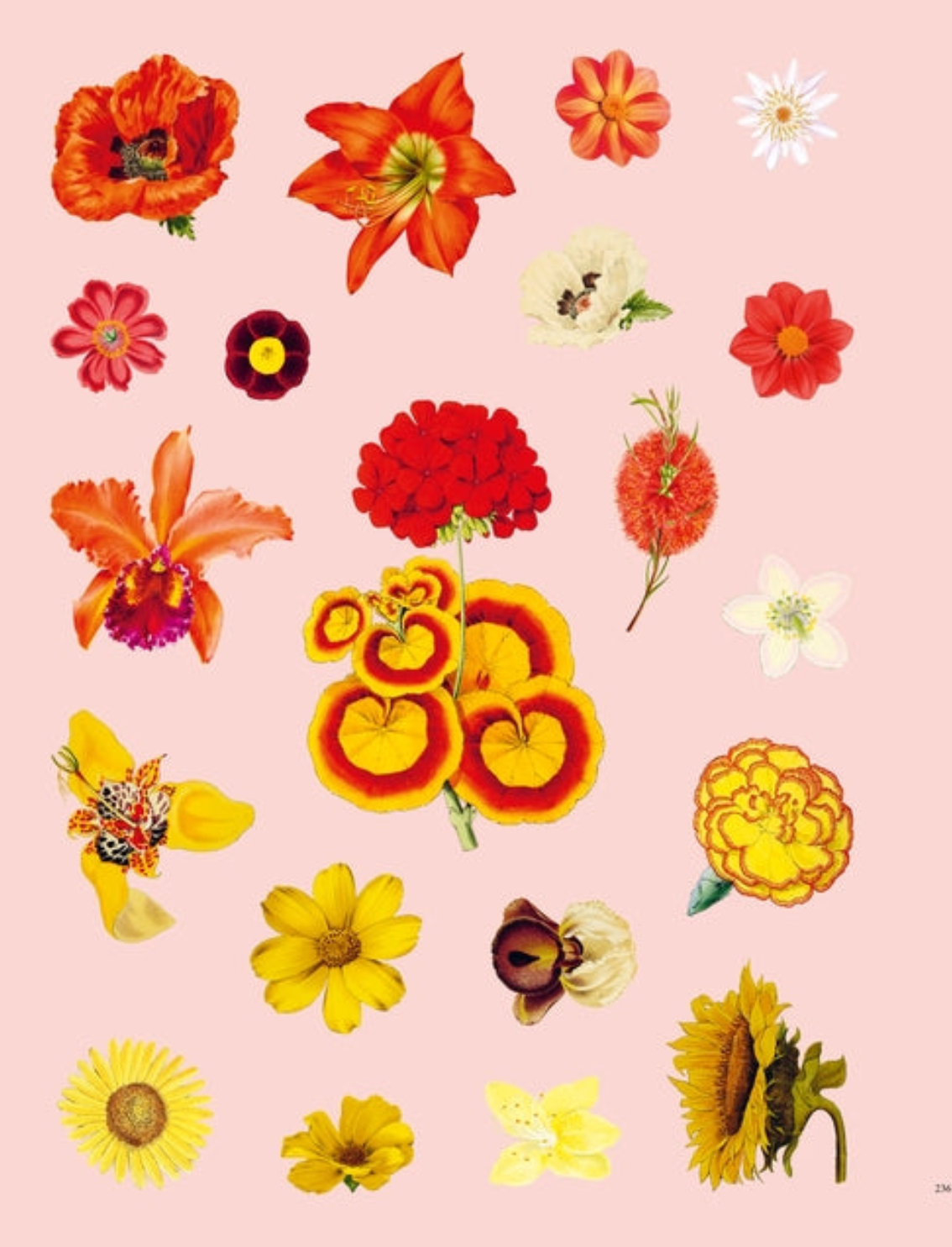 ספר מדבקות Extraordinary Things