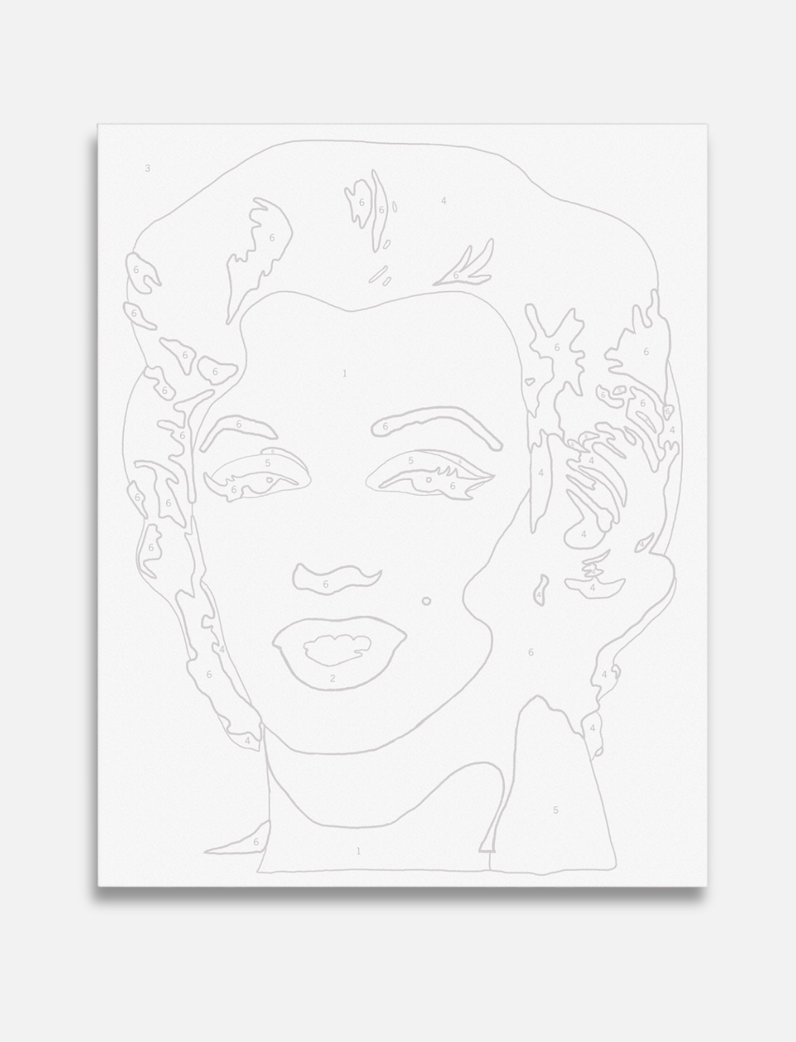 ערכת צביעה לפי מספרים: Andy Warhol Marilyn
