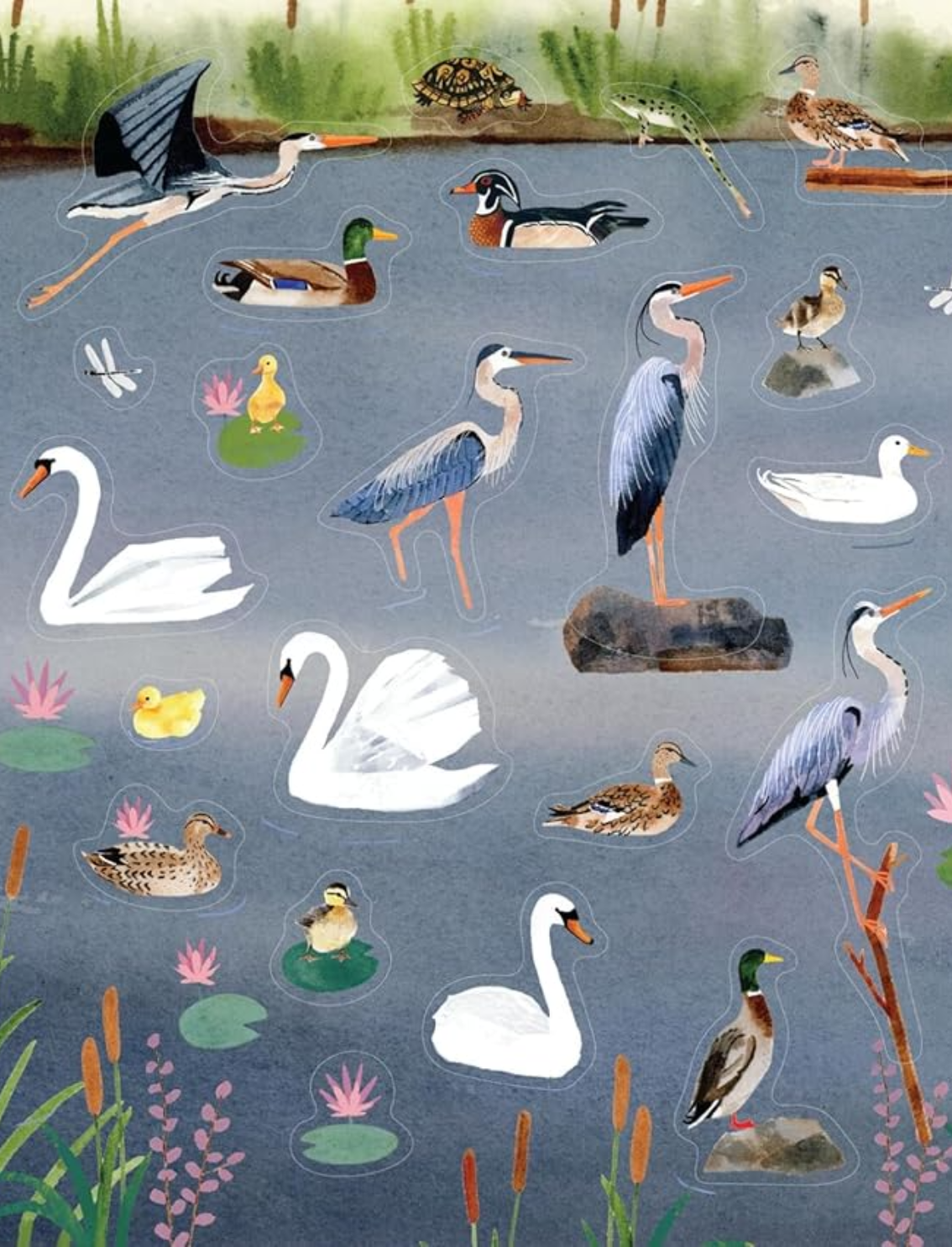 ספר מדקות Bird Lover's