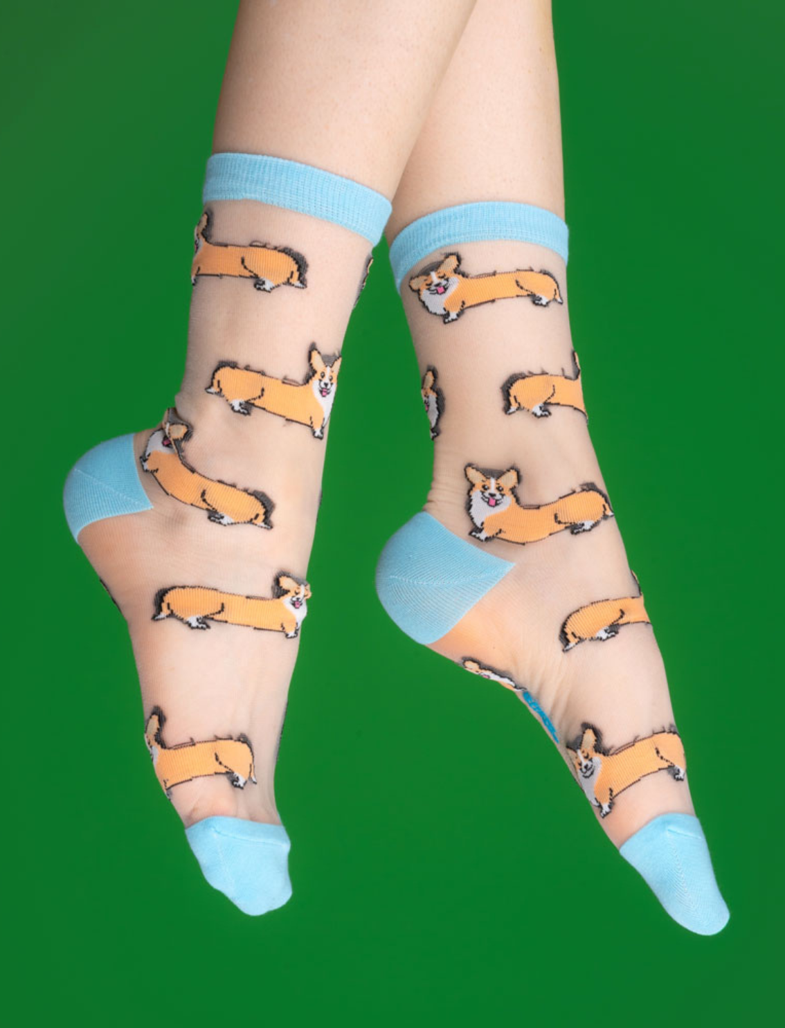גרביים שקופות Corgi