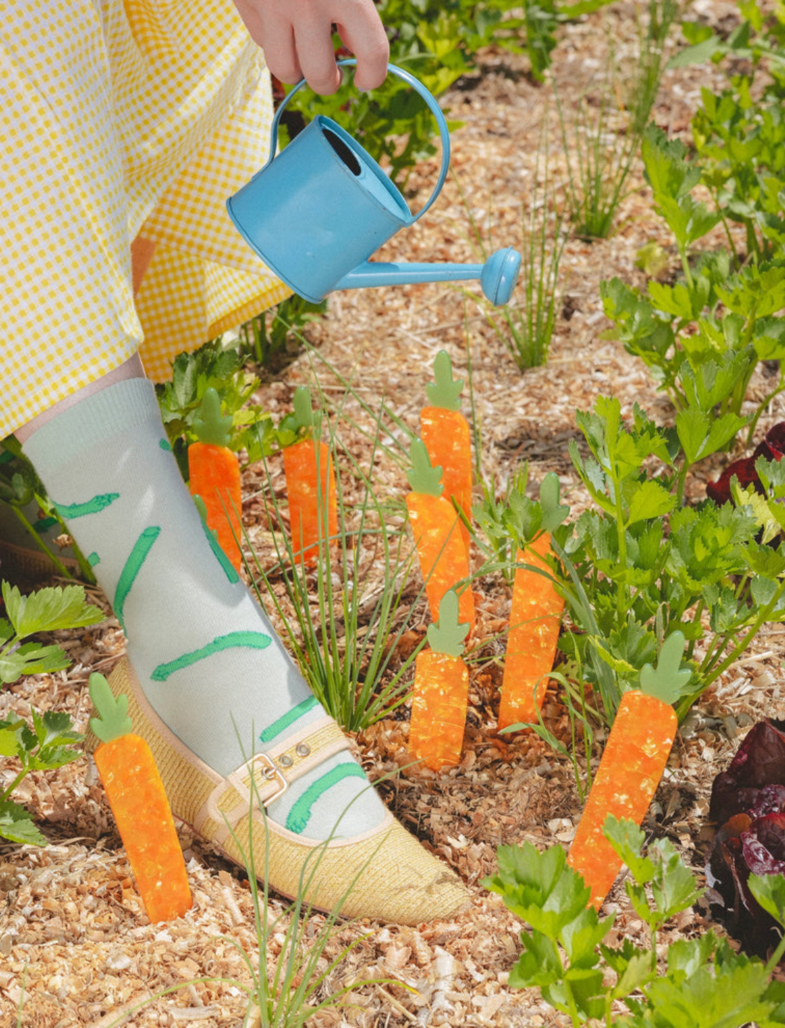 סרגל Carrot