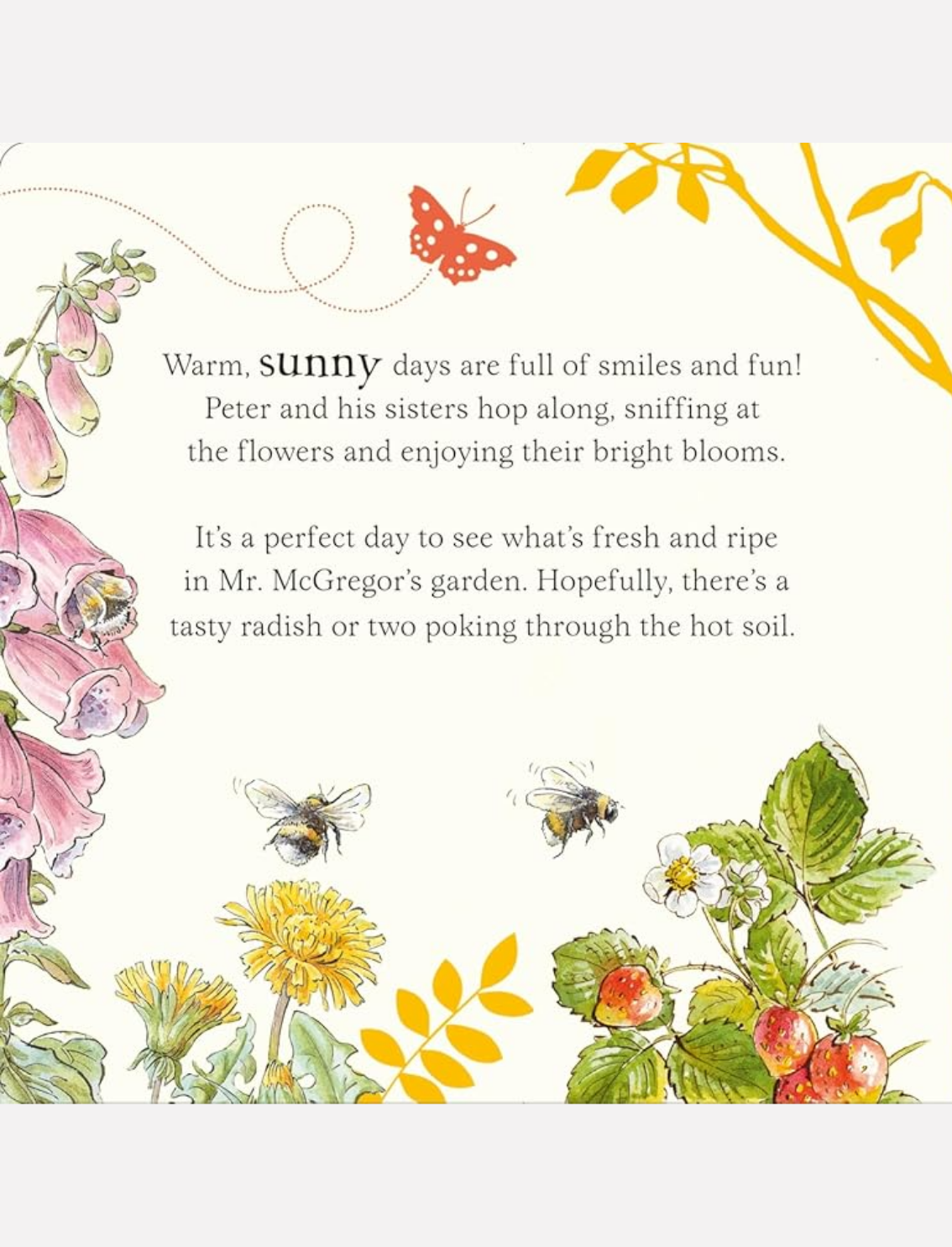 ספר פאזל Peter Rabbit