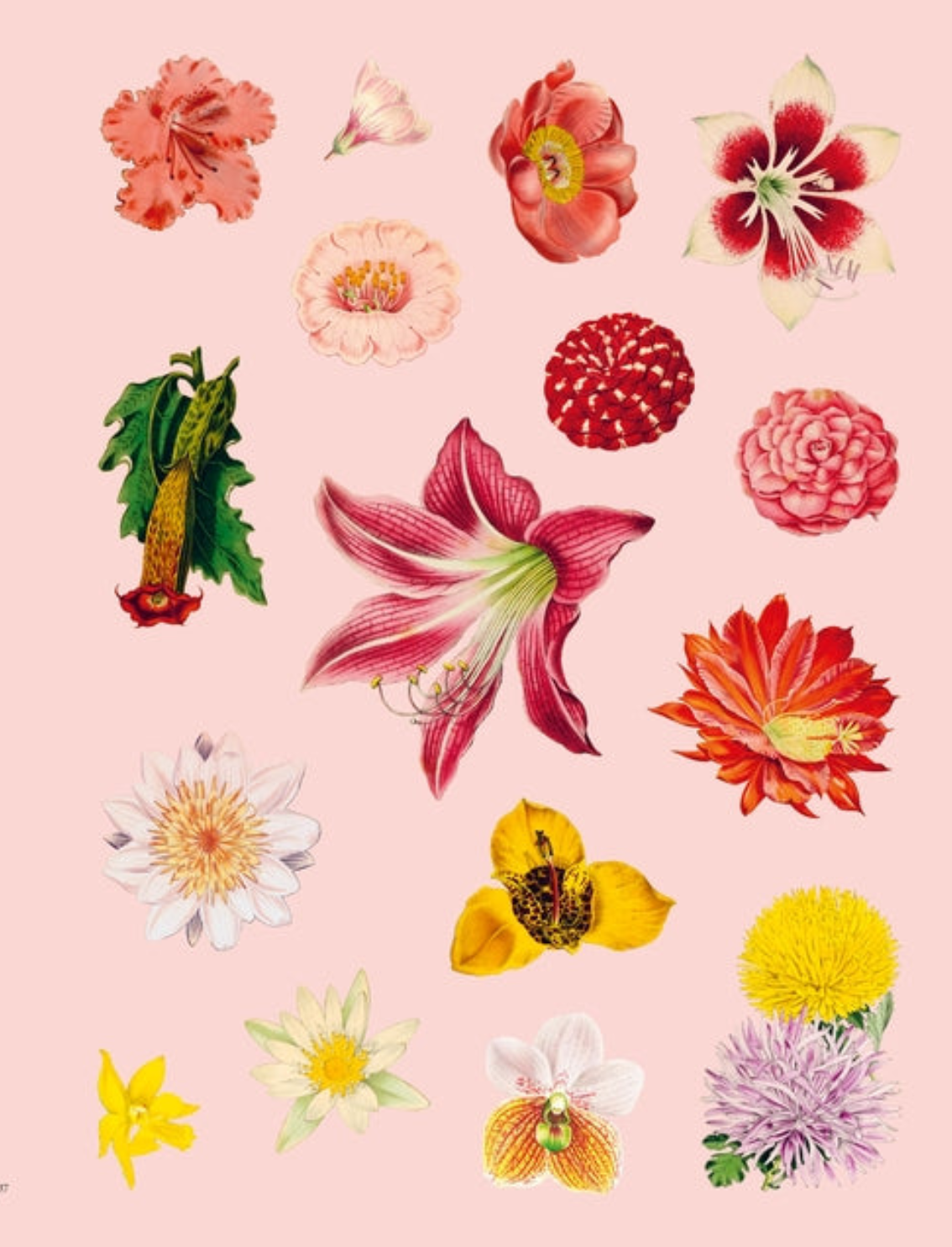 ספר מדבקות Extraordinary Things