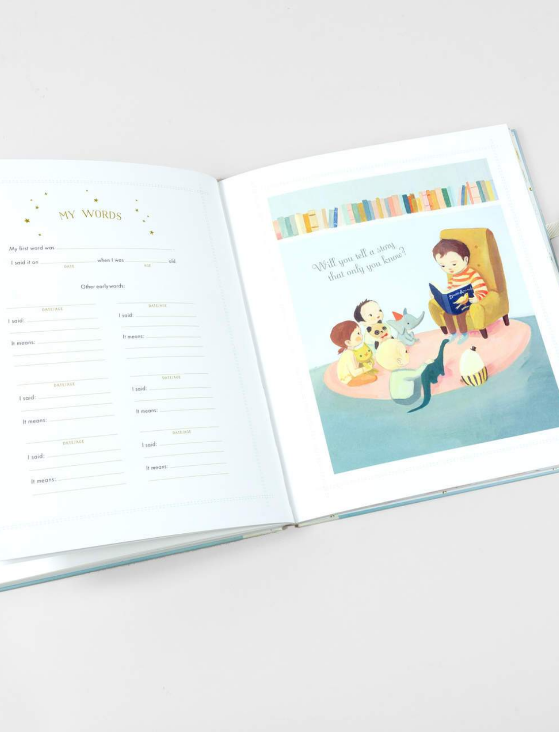 יומן מזכרות לתינוק: The Wonderful Baby You Are