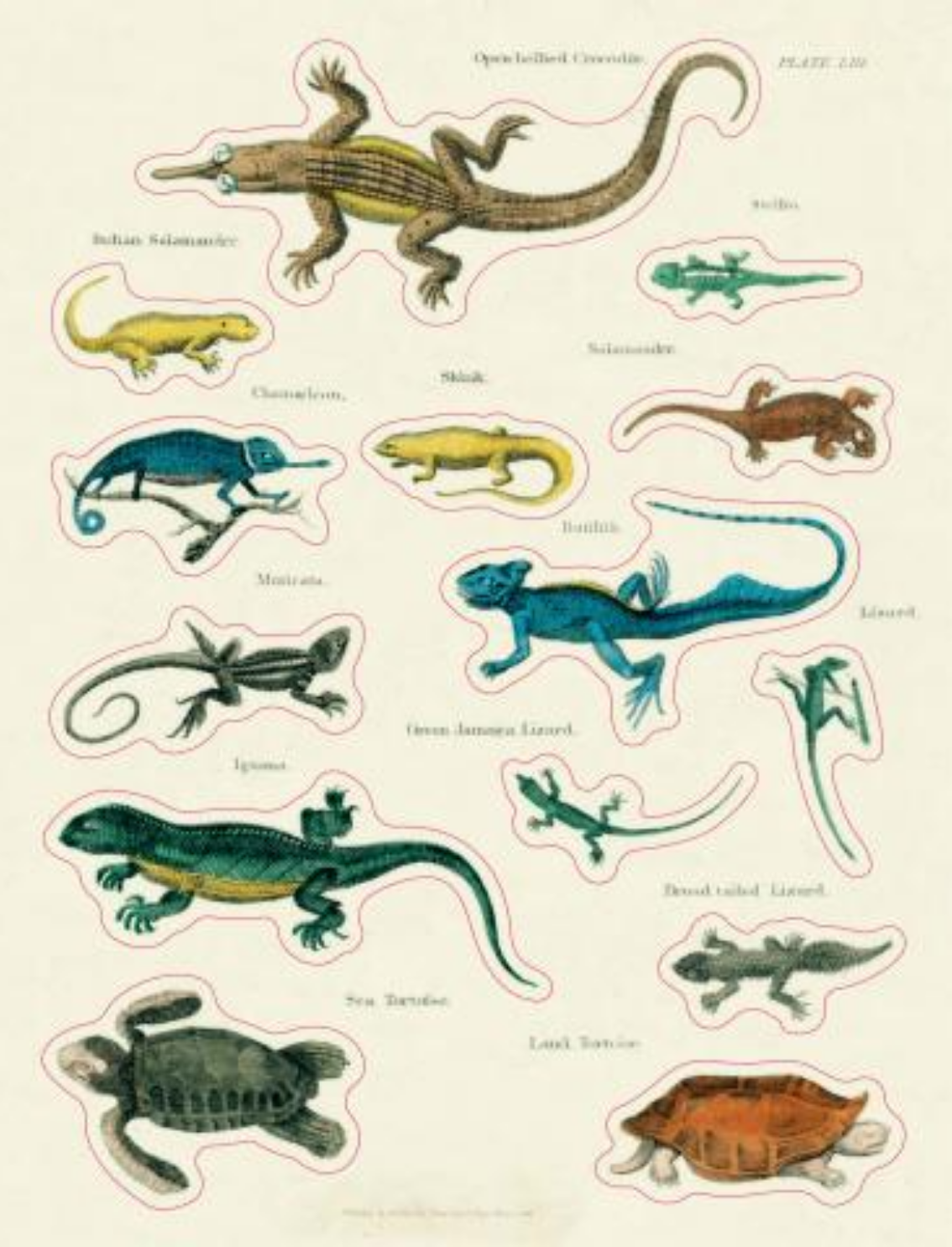 ספר מדבקות מאוירות John Derian 2