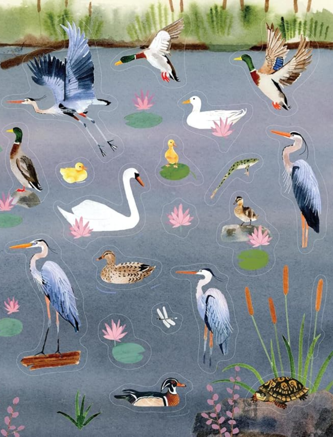 ספר מדקות Bird Lover's