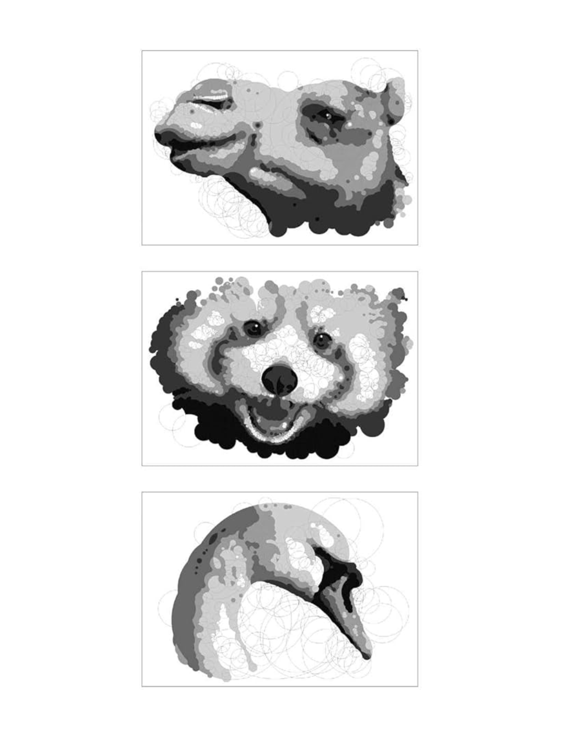 חוברת צביעה Querkles: Animals
