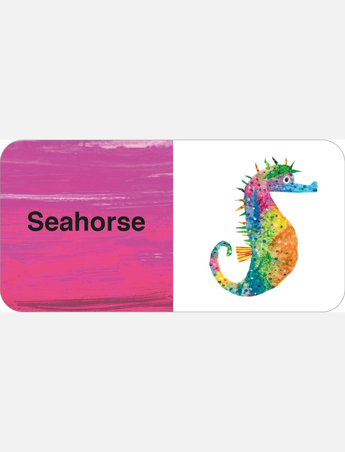 מארז ספרונים Eric Carle: Big Box of Little Books