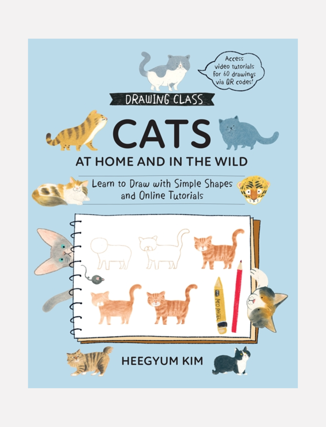 ספר יצירה: Cats Drawing Class