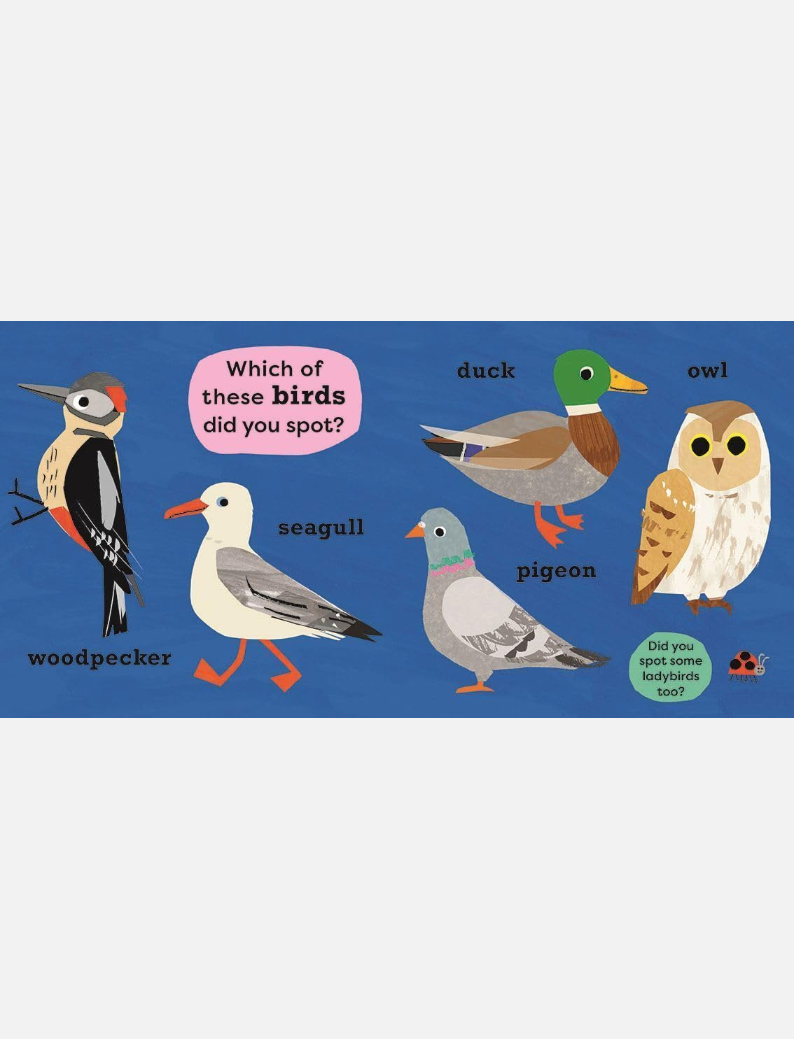 ספר אינטראקטיבי I Spot A Duck