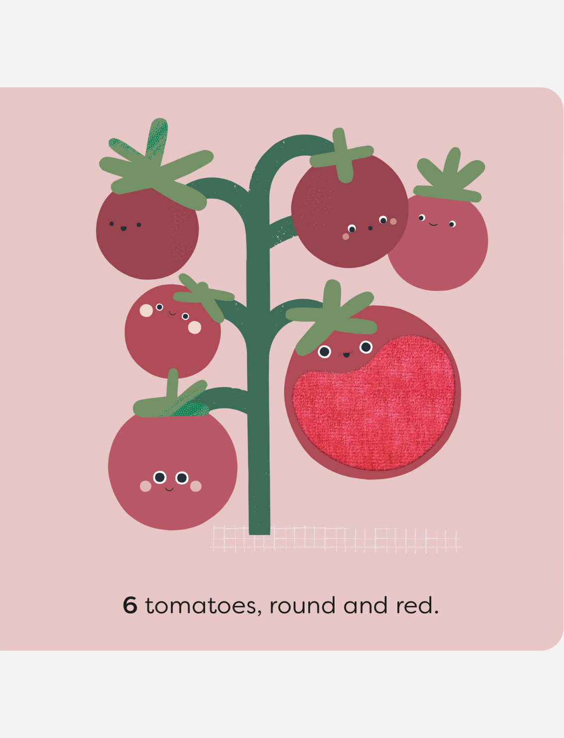 ספר סנסורי MiniTouch: Fruit & Veg