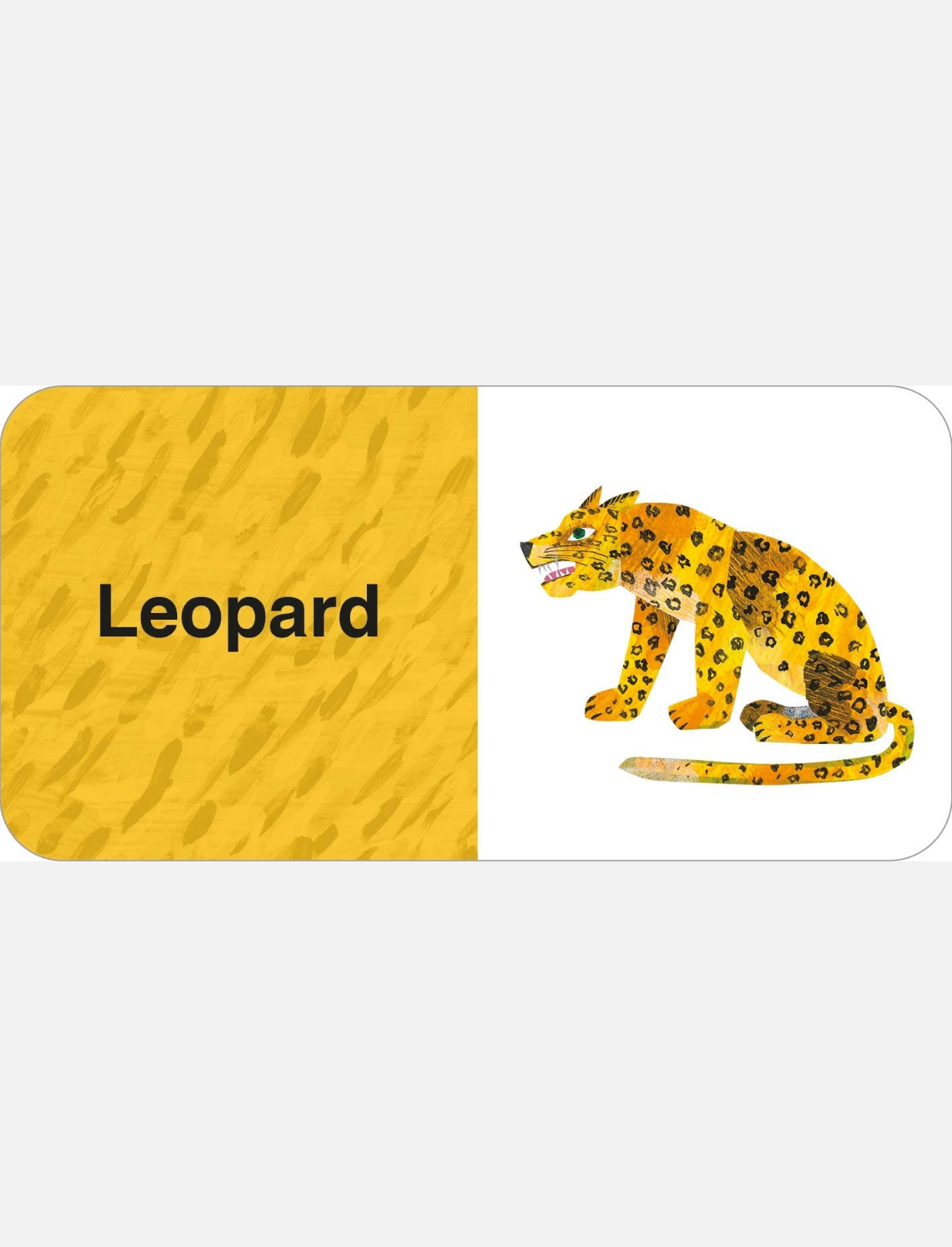 מארז ספרונים Eric Carle: Big Box of Little Books