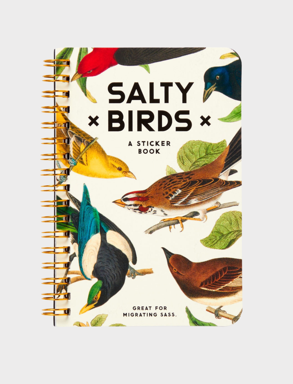 חוברת מדבקות Salty Birds