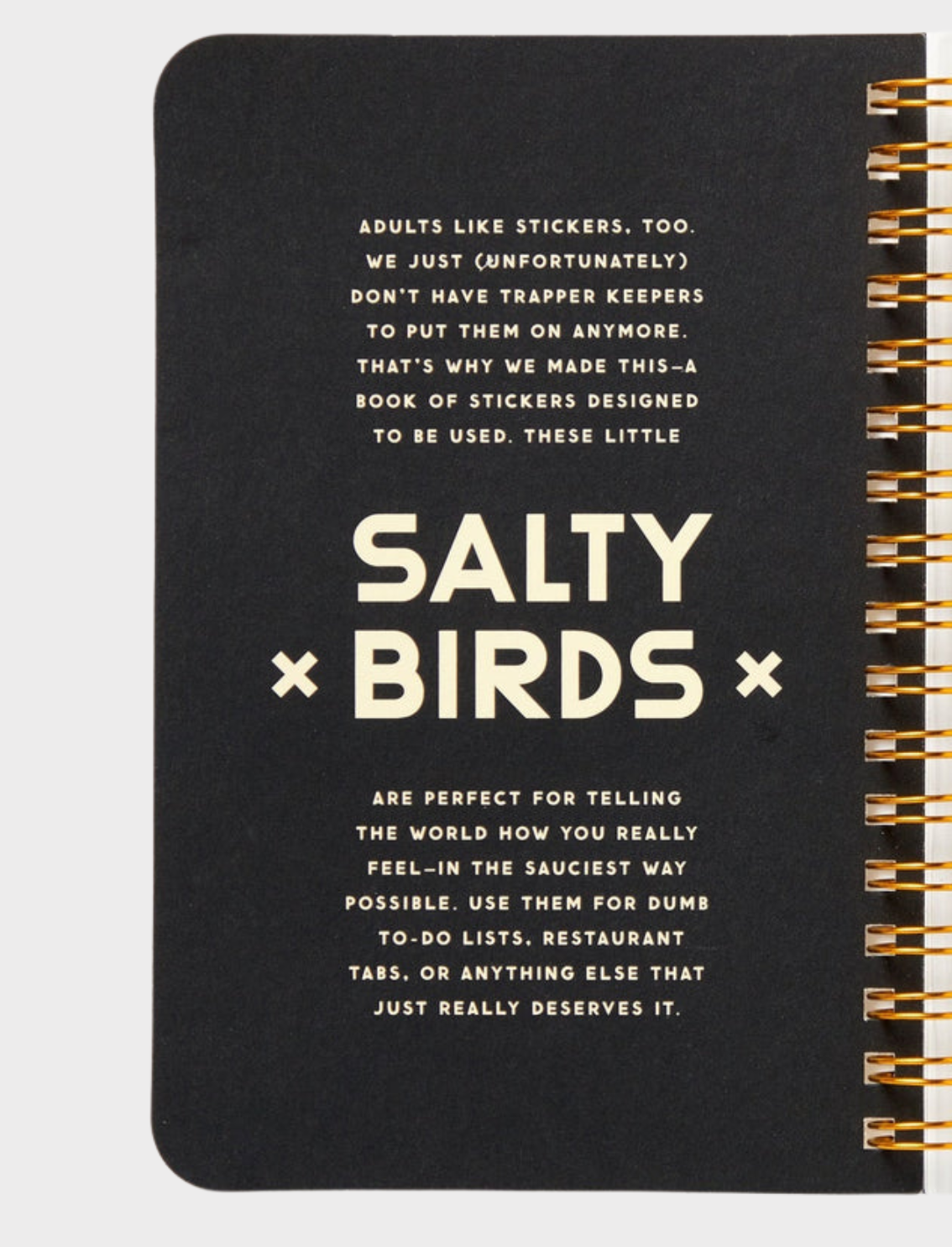 חוברת מדבקות Salty Birds
