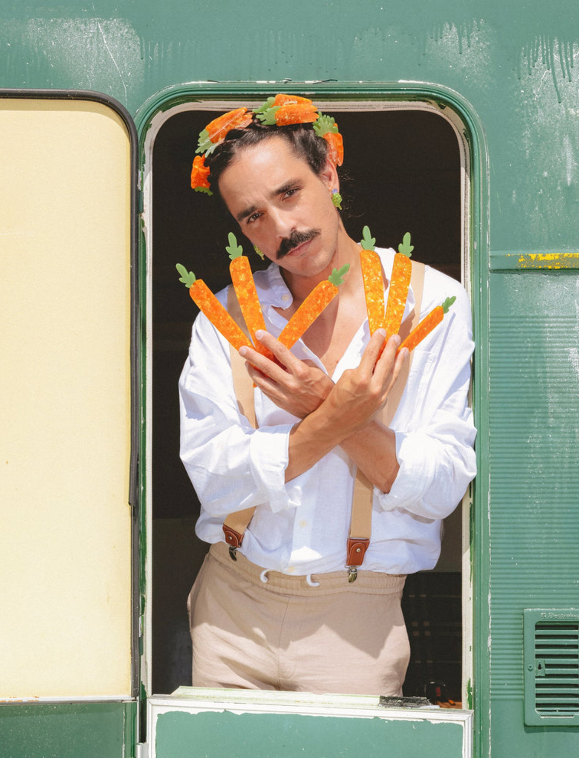 קליפס לשיער Carrots