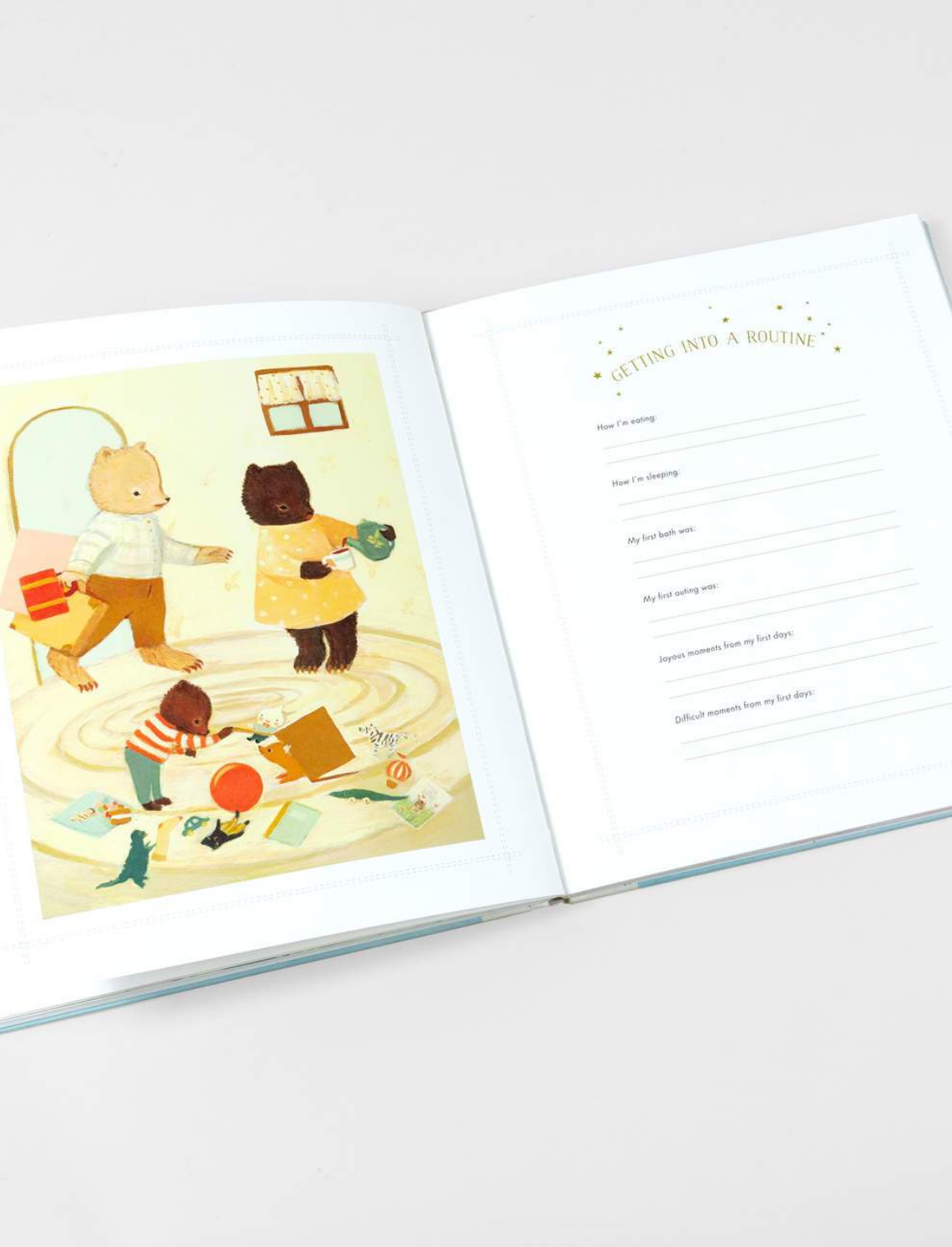 יומן מזכרות לתינוק: The Wonderful Baby You Are