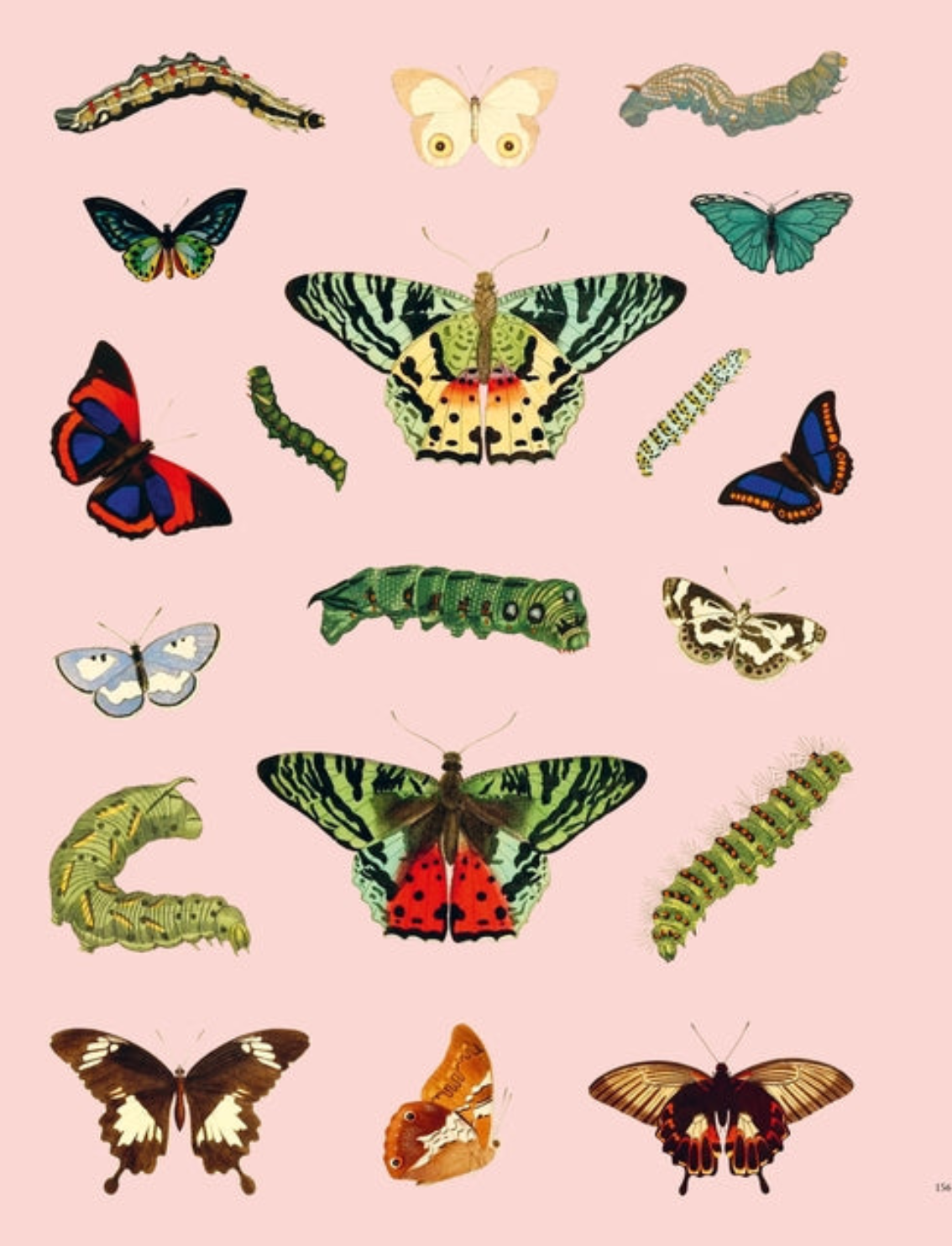 ספר מדבקות Extraordinary Things