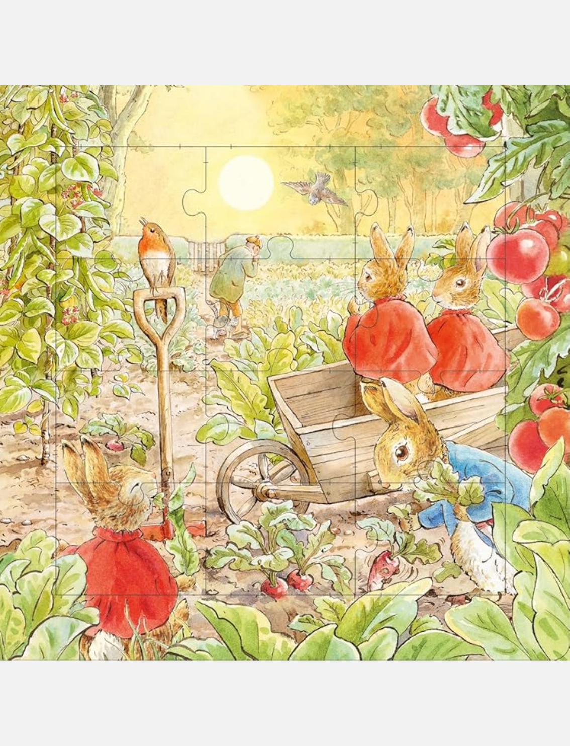 ספר פאזל Peter Rabbit