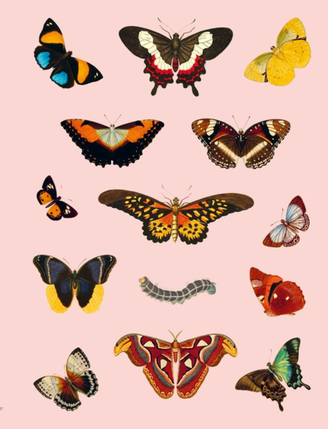 ספר מדבקות Extraordinary Things