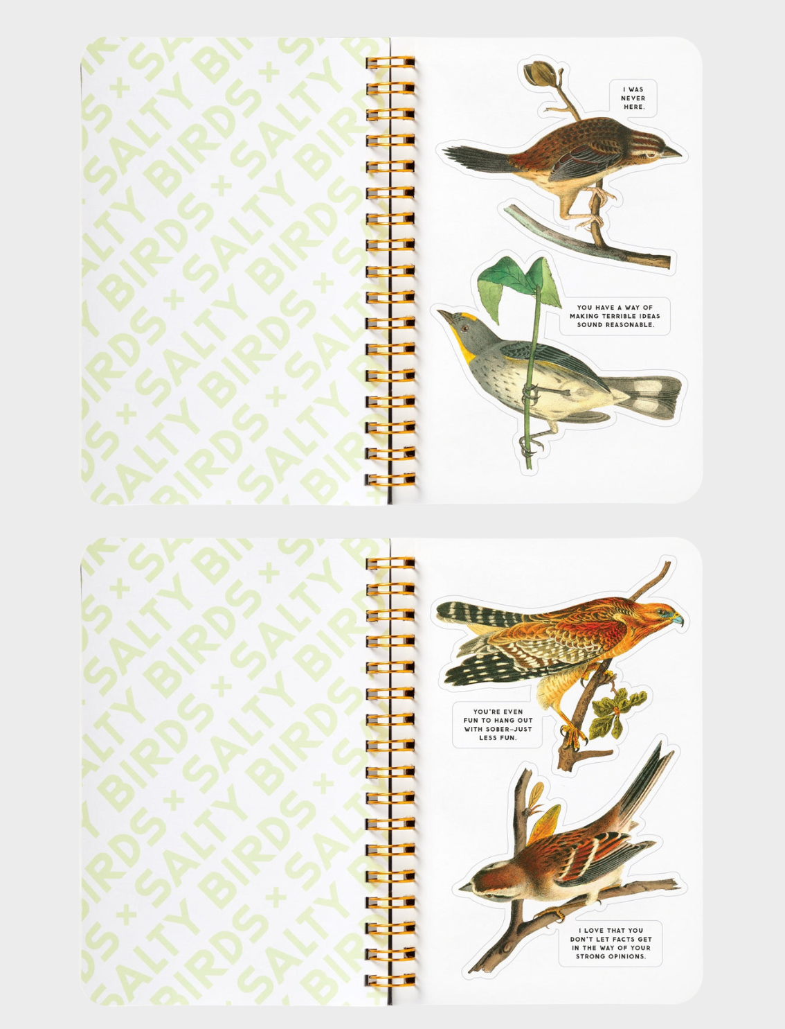 חוברת מדבקות Salty Birds