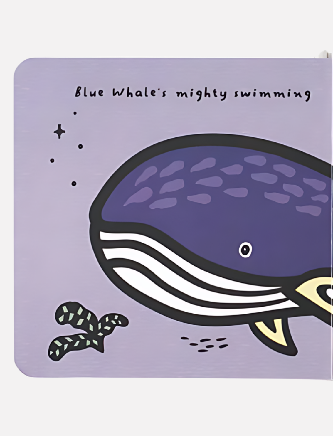 ספר סנסורי Tails