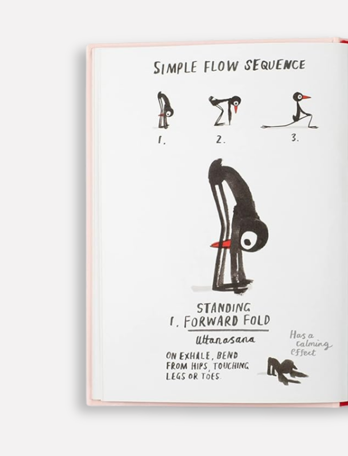 ספר התעמלות Yoga for Stiff Birds