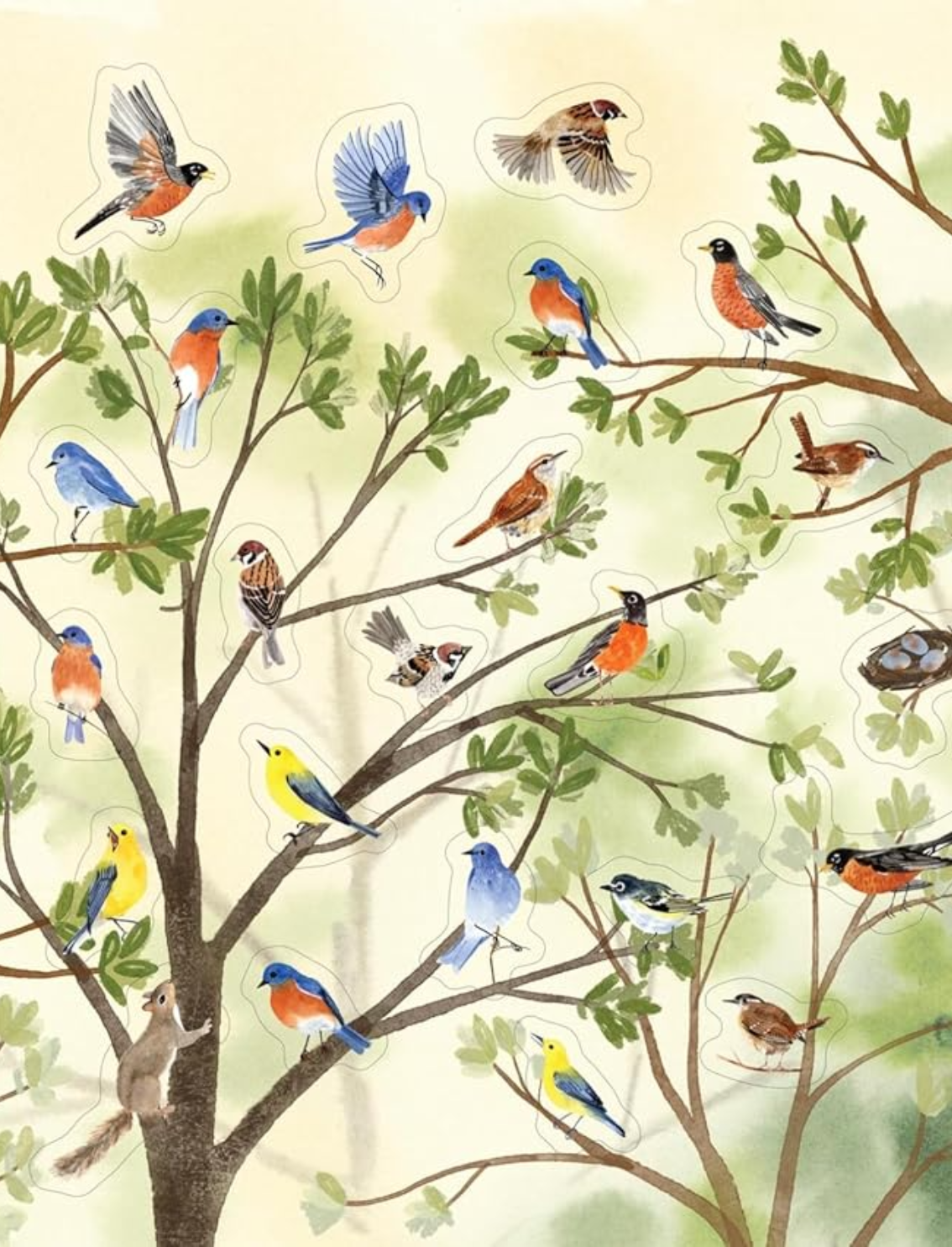ספר מדקות Bird Lover's