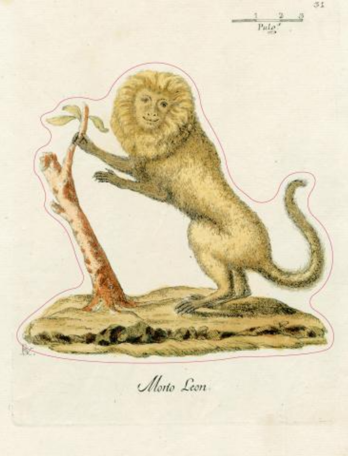 ספר מדבקות מאוירות John Derian 2