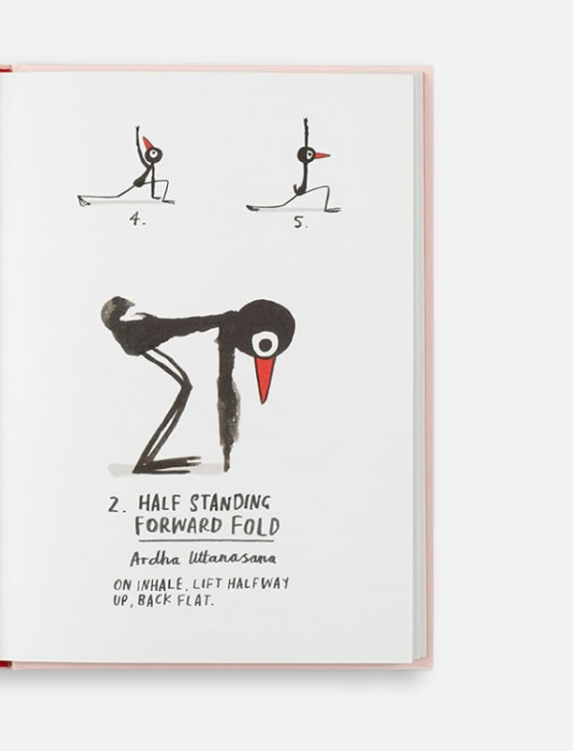 ספר התעמלות Yoga for Stiff Birds