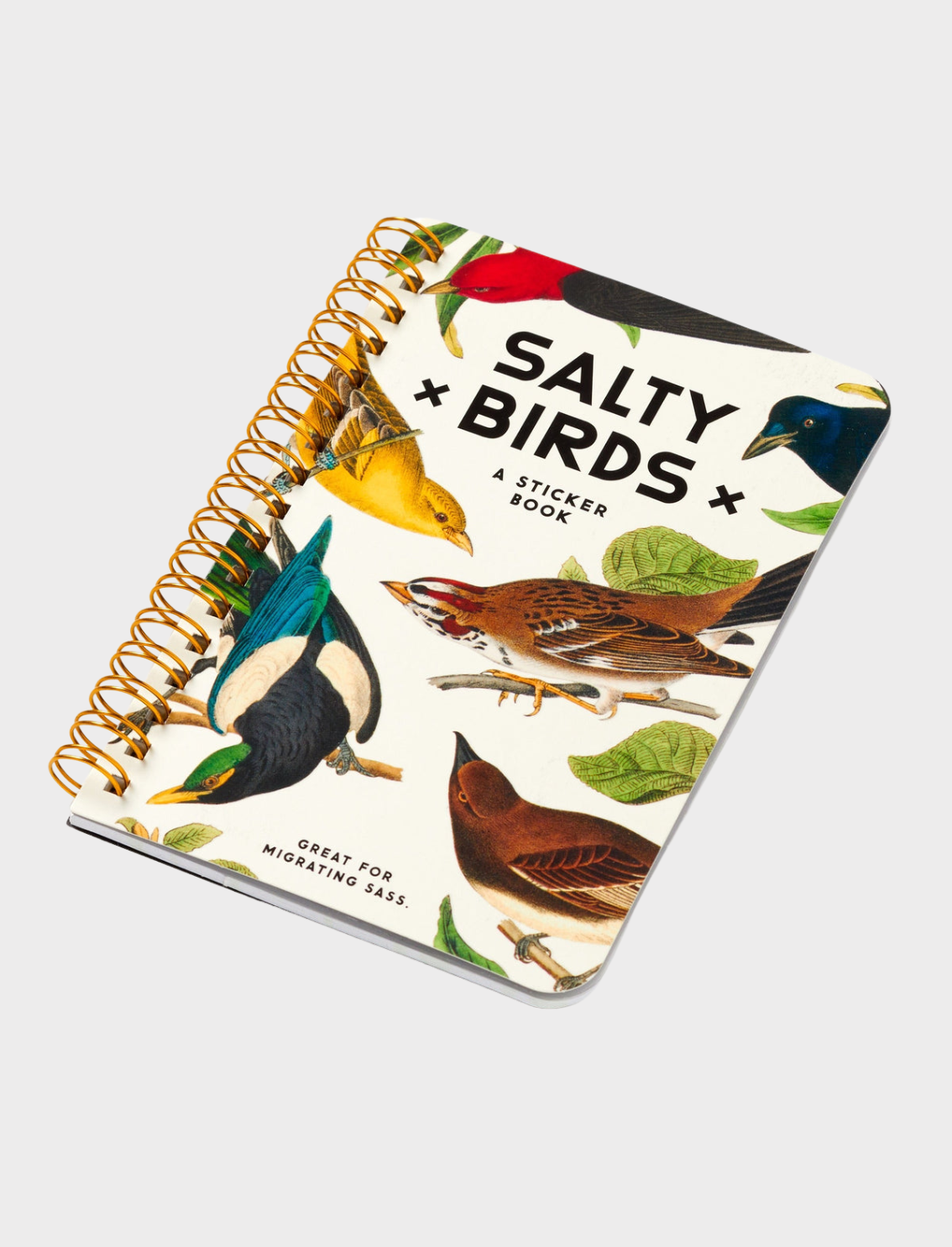 חוברת מדבקות Salty Birds