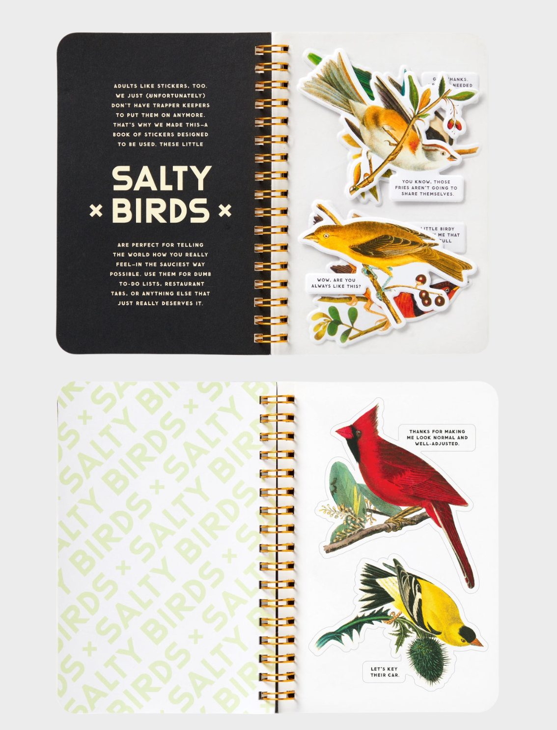 חוברת מדבקות Salty Birds