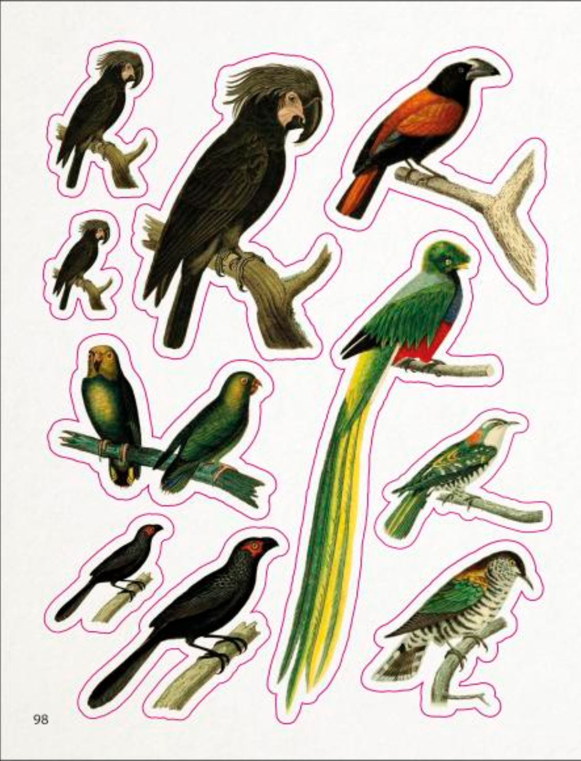 ספר מדבקות: The Bees, Birds & Butterflies Sticker Anthology