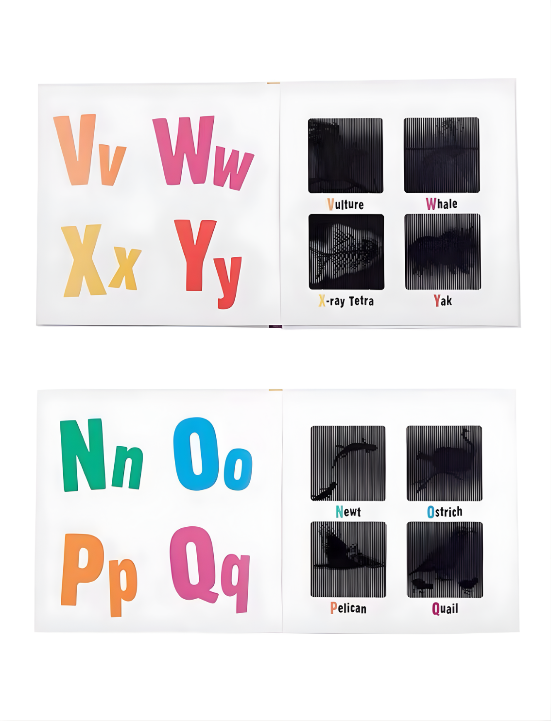 ספר סקנימציה לילדים ABC Animals!