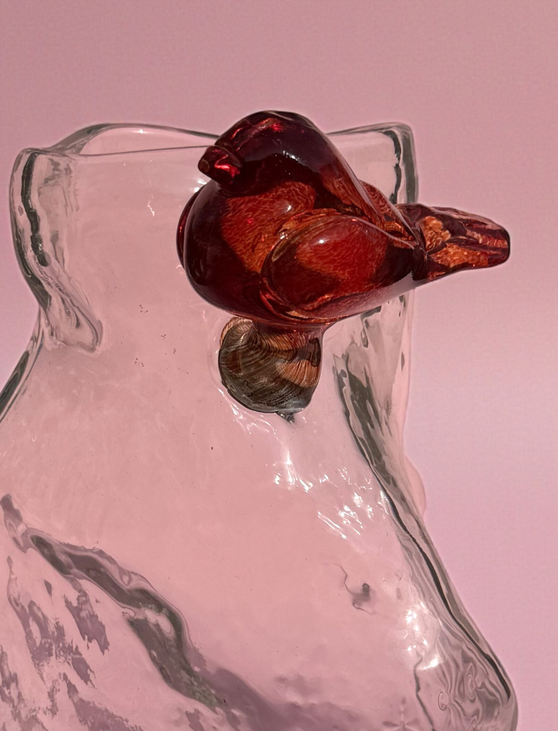 ואזת זכוכית Bird on a Rock