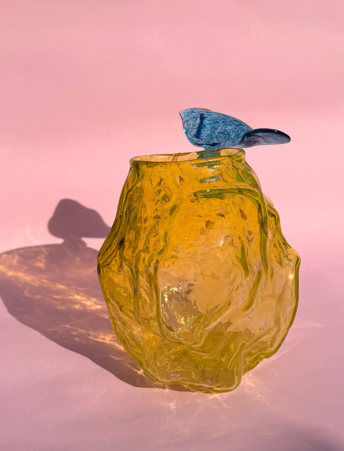 ואזת זכוכית Bird on a Yellow Rock