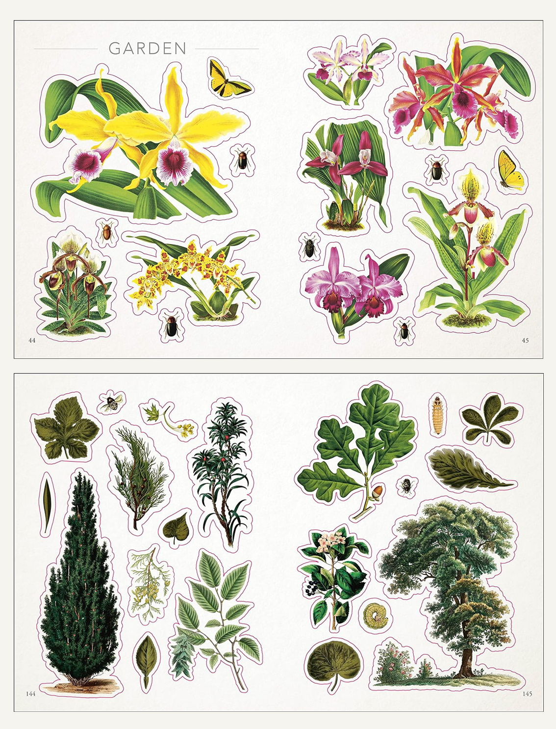 ספר מדבקות: The Botanist's Sticker Anthology